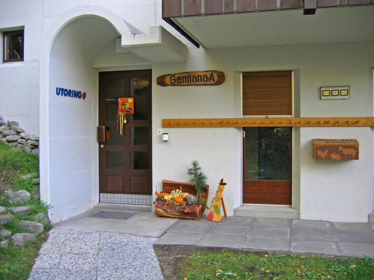 Apartment Gentiana Grachen